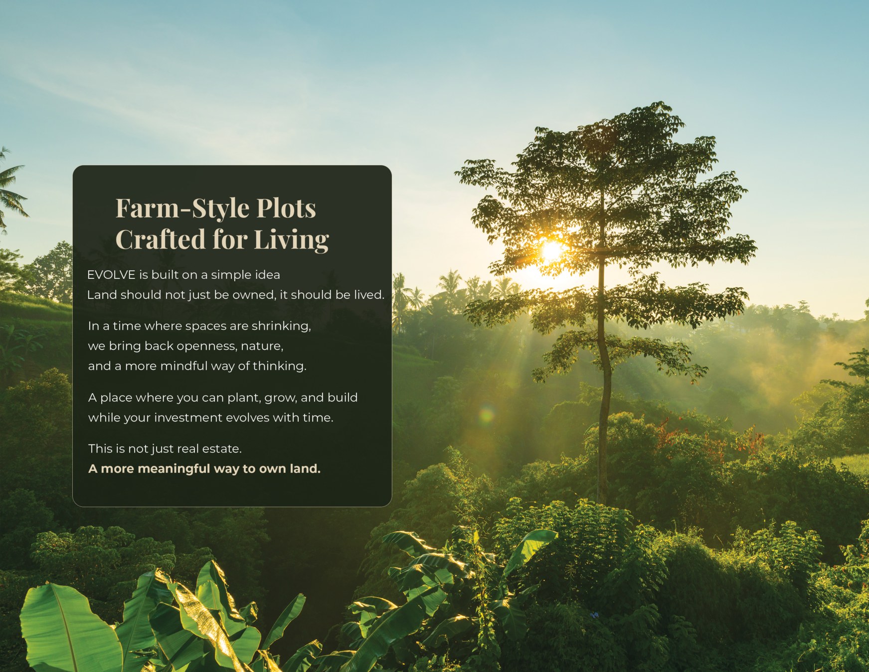 Farm-Style Plots Crafted for Living