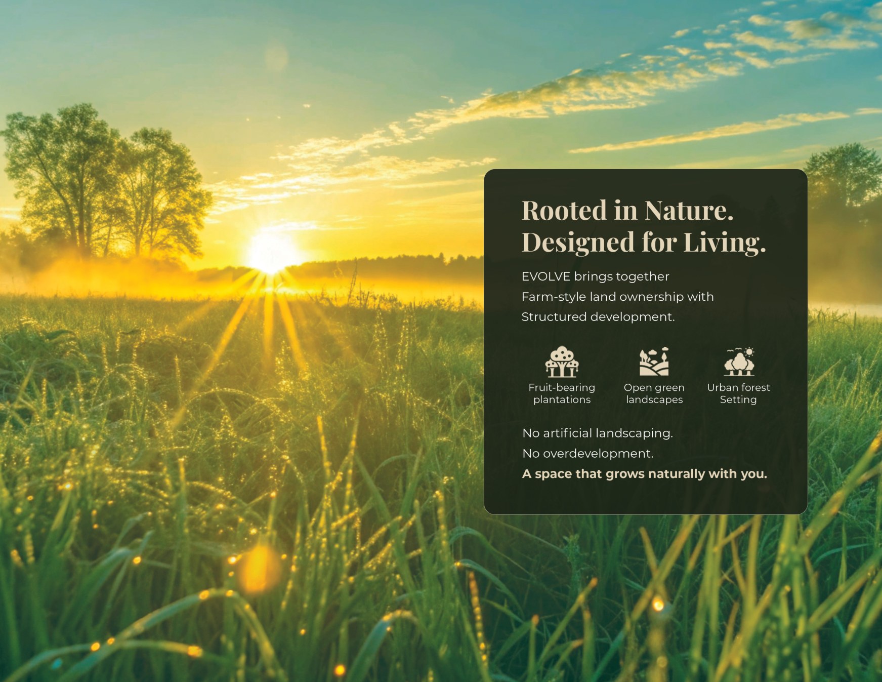 Rooted in Nature. Designed for Living.