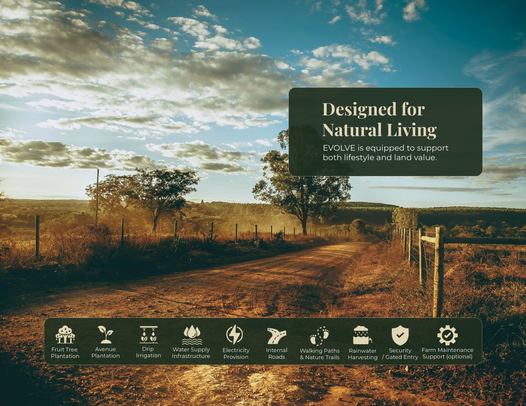 Designed for Natural Living