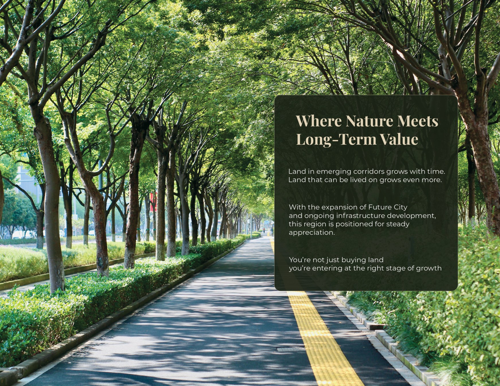 Where Nature Meets Long-Term Value