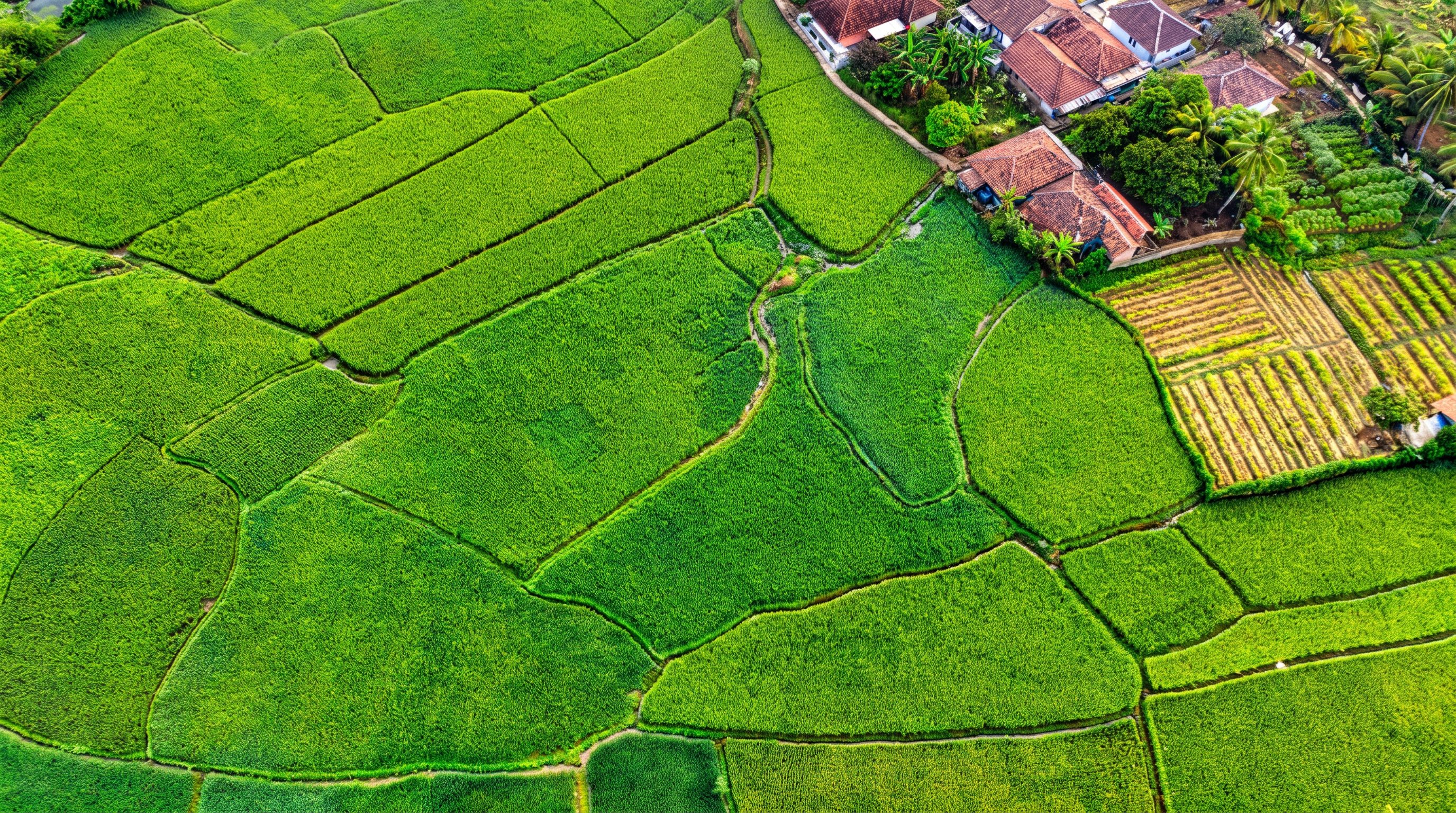 Navavarna Green Life — Premium Gated Farmland